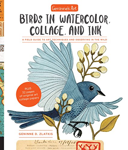 Stock image for Geninnes Art: Birds in Watercolor, Collage, and Ink: A field guide to art techniques and observing in the wild for sale by Goodwill Books