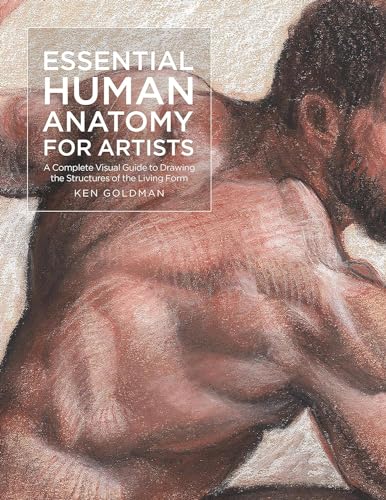Beispielbild fr Essential Human Anatomy for Artists zum Verkauf von Blackwell's