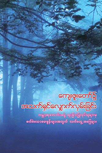 Stock image for Walking in God's Grace (Burmese): Practical Answers to Tough Questions for sale by Russell Books