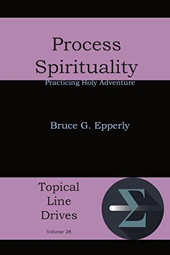 Stock image for Process Spirituality: Practicing Holy Adventure (Topical Line Drives) for sale by HPB-Red