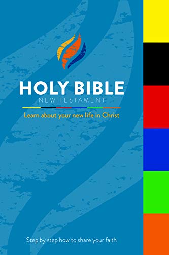 Stock image for Holy Bible : New Testament for sale by Better World Books