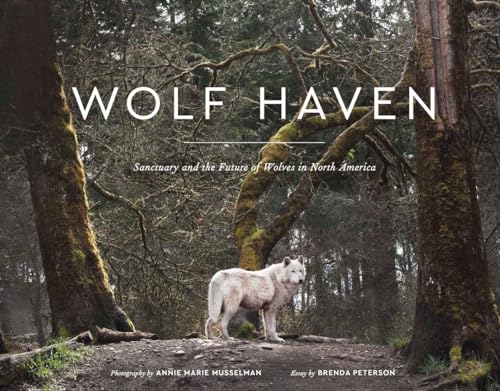 9781632170514: Wolf Haven: Sanctuary and the Future of Wolves in North America