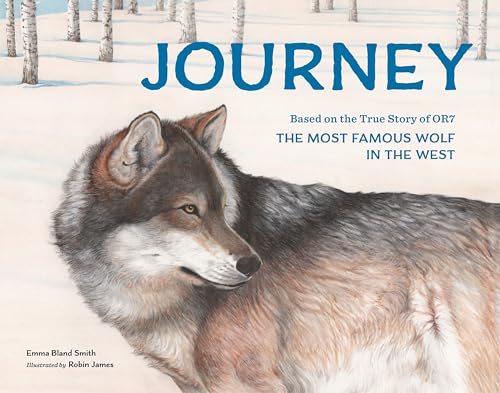 Stock image for Journey : Based on the True Story of OR7, the Most Famous Wolf in the West for sale by Better World Books