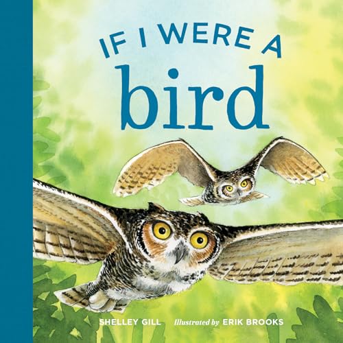 Stock image for If I Were a Bird for sale by SecondSale