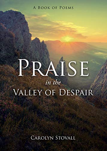 Beispielbild fr PRAISE in the VALLEY OF DESPAIR: A Book of Poems zum Verkauf von Buchpark