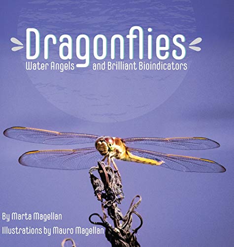 Stock image for Dragonflies: Water Angels and Brilliant Bioindicators for sale by Books From California