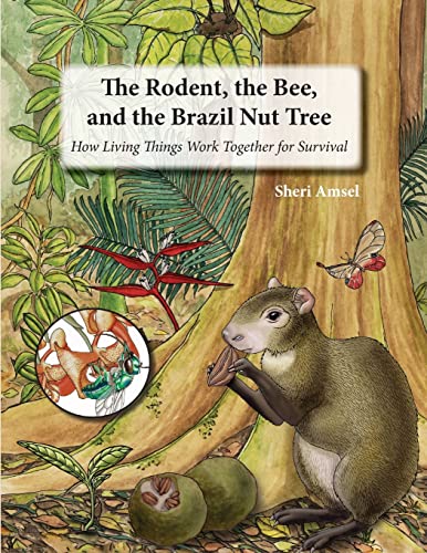 9781632333223: The Rodent, the Bee, and the Brazil Nut Tree: How Living Things Work Together for Survival