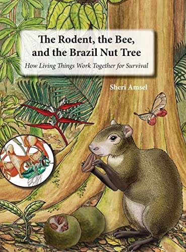 Stock image for The Rodent, The Bee, And The Brazil Nut Tree for sale by GreatBookPrices