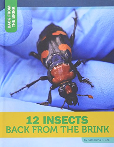 Imagen de archivo de 12 Insects Back from the Brink a la venta por Better World Books