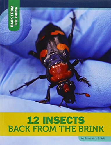 Stock image for 12 Insects Back from the Brink for sale by Better World Books