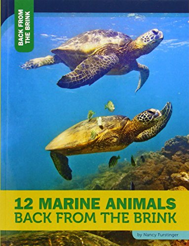 Imagen de archivo de 12 Marine Animals Back from the Brink a la venta por Better World Books