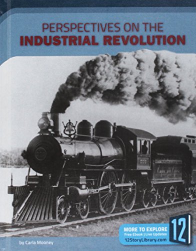 Imagen de archivo de Perspectives on the Industrial Revolution a la venta por Better World Books