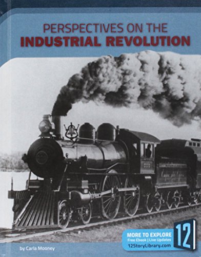 Stock image for Perspectives on the Industrial Revolution for sale by Better World Books