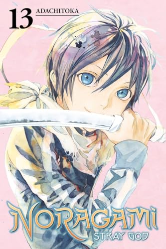 Stock image for Noragami: Stray God 13 for sale by Goodwill Books
