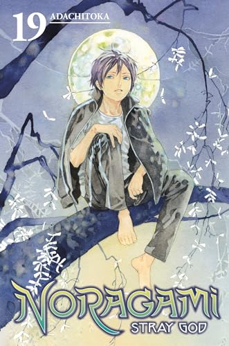 Stock image for Noragami: Stray God 19 for sale by ThriftBooks-Dallas