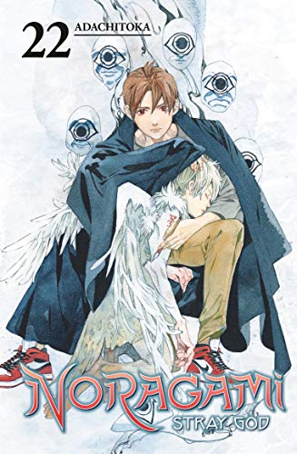 Stock image for Noragami: Stray God 22 for sale by Goodwill Books