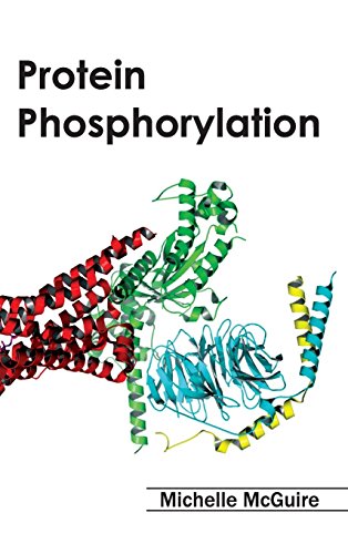 Protein Phosphorylation