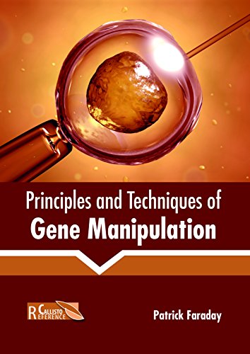 Stock image for Principles and Techniques of Gene Manipulation for sale by Romtrade Corp.