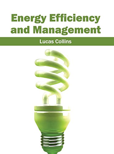 9781632402066: Energy Efficiency and Management