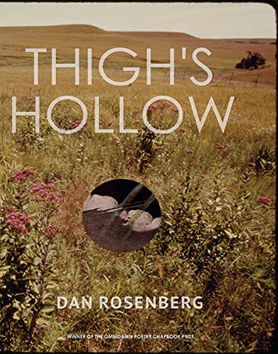 Imagen de archivo de Thigh's Hollow a la venta por BookHolders