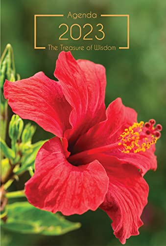 Imagen de archivo de The Treasure of Wisdom - 2023 Daily Agenda - Hibiscus: A Daily Calendar, Schedule, and Appointment Book with an Inspirational Quotation or Bible Verse for Each Day of the Year a la venta por Revaluation Books