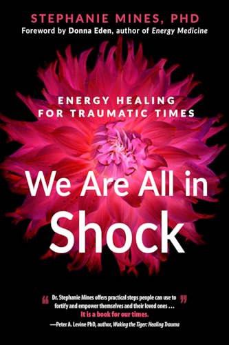 Stock image for We Are All in Shock: Energy Healing for Traumatic Times for sale by BooksRun