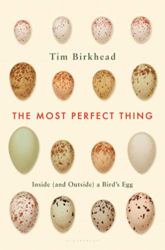 Stock image for The Most Perfect Thing: Inside (and Outside) a Bird's Egg for sale by ThriftBooks-Dallas