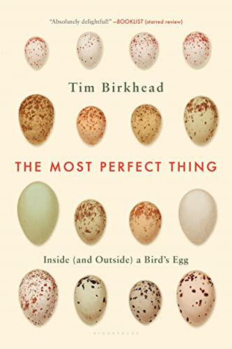 9781632863706: The Most Perfect Thing: Inside and Outside a Bird s Egg