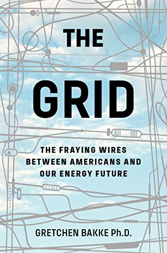 Stock image for The Grid: The Fraying Wires Between Americans and Our Energy Future for sale by KuleliBooks