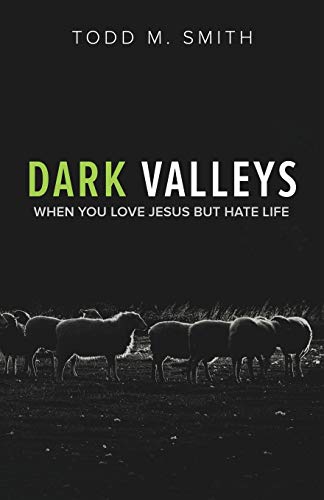Stock image for Dark Valleys: When You Love Jesus But Hate Life for sale by SecondSale