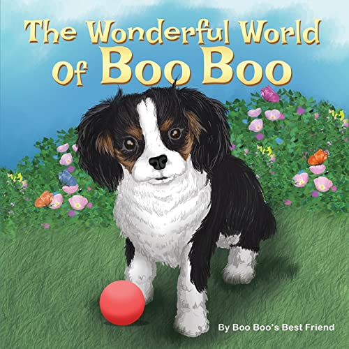 9781633021136: The Wonderful World Of Boo Boo