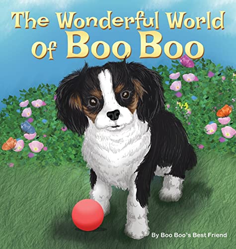 Stock image for The Wonderful World Of Boo Boo for sale by ThriftBooks-Atlanta