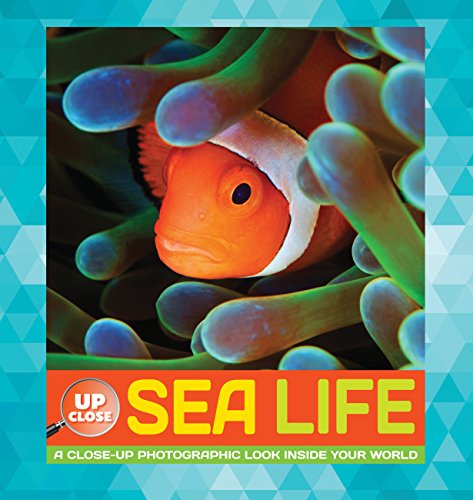 Stock image for Sea Life: A close-up photographic look inside your world (Up Close) for sale by SecondSale
