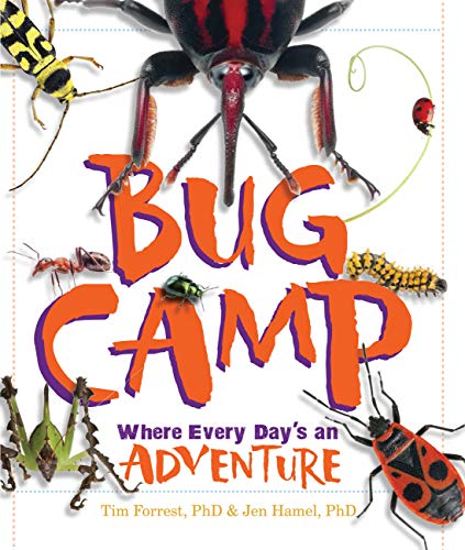 Stock image for Bug Camp: Where Every Day's an Adventure for sale by SecondSale