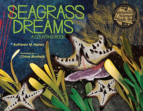 Stock image for Seagrass Dreams : A Counting Book for sale by Better World Books