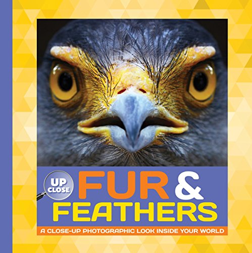 9781633221673: Fur & Feathers: A close-up photographic look inside your world (Up Close)