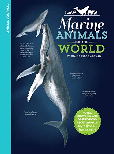 Stock image for Animal Journal: Marine Animals of the World: Notes, drawings, and observations about animals that live in the ocean for sale by GF Books, Inc.