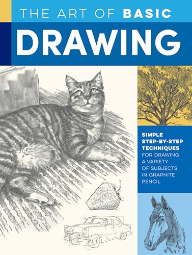 9781633228320: The Art of Basic Drawing: Simple step-by-step techniques for drawing a variety of subjects in graphite pencil (Collector's Series)