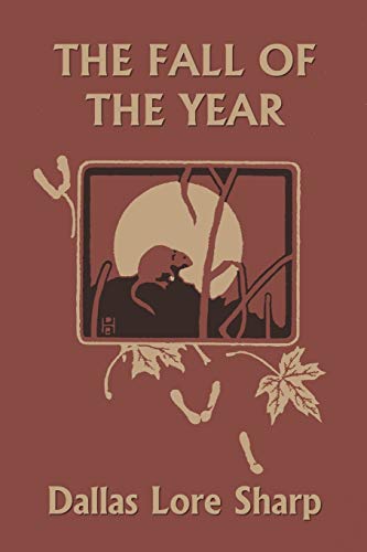 Imagen de archivo de The Fall of the Year a la venta por Better World Books: West