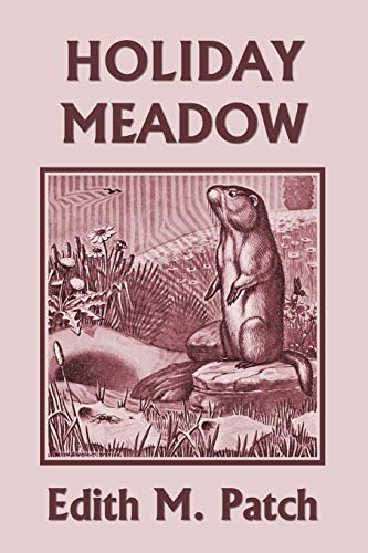 Stock image for Holiday Meadow (Yesterday's Classics) for sale by GreatBookPrices