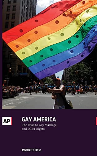 Stock image for Gay America: The Road to Gay Marriage and LGBT Rights for sale by More Than Words