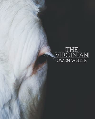 Stock image for The Virginian for sale by SecondSale