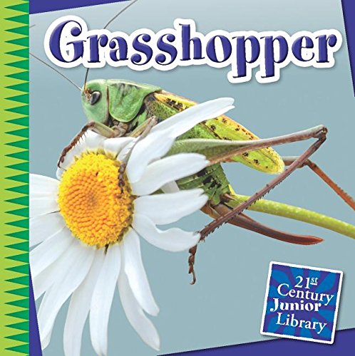 9781633625907: Grasshopper (21st Century Junior Library: Creepy Crawly Critters)