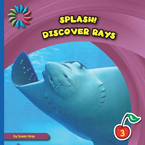 9781633626041: Discover Rays (Splash!)