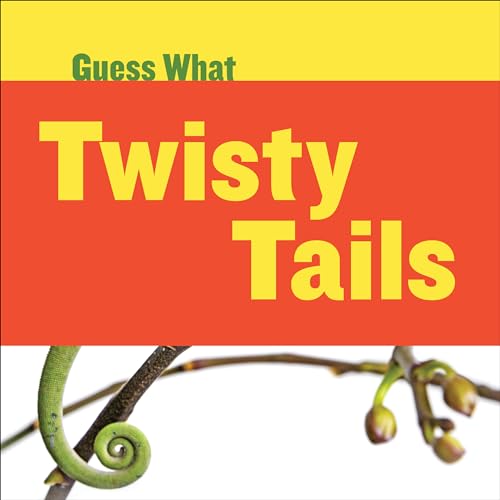 Beispielbild fr Twisty Tails : Chameleon zum Verkauf von Better World Books