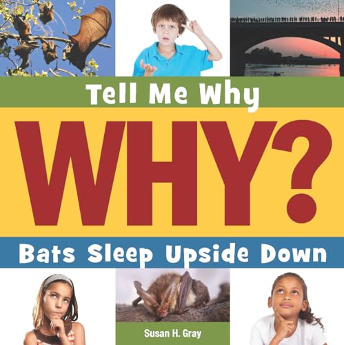 Stock image for Bats Sleep Upside Down (Tell Me Why) for sale by BooksRun