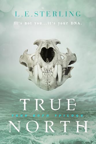 Stock image for True North for sale by Better World Books