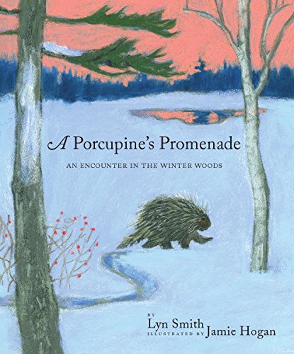 Beispielbild fr A Porcupine's Promenade zum Verkauf von Wonder Book