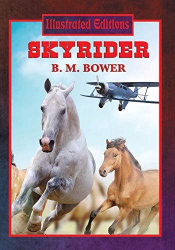 Stock image for Skyrider for sale by Chiron Media