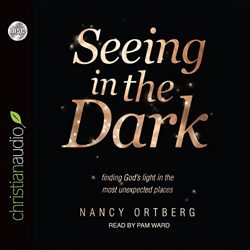 Beispielbild fr Seeing in the Dark: Finding God's Light in the Most Unexpected Places zum Verkauf von Buchpark